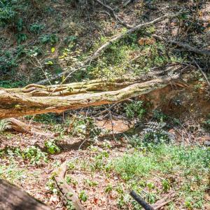 Photo #45 of 1435 Belmont Drive, Bedford, VA 0.8 acres