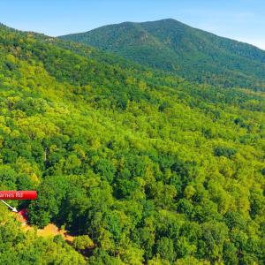 Photo #6 of 1909 Karnes Road, Bedford, VA 5.0 acres