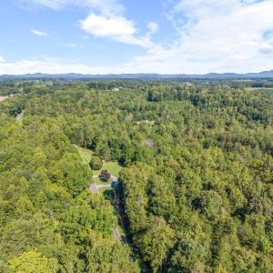 Photo #39 of 2898 White House Road, Moneta, VA 1.1 acres