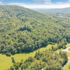 Photo #70 of 181 Mobley Mountain Road, Amherst, VA 40.0 acres