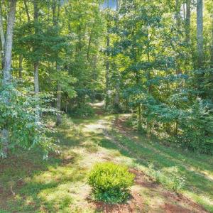 Photo #64 of 181 Mobley Mountain Road, Amherst, VA 40.0 acres