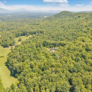 Photo #74 of 181 Mobley Mountain Road, Amherst, VA 40.0 acres