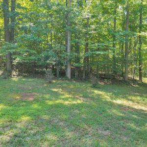 Photo #63 of 181 Mobley Mountain Road, Amherst, VA 40.0 acres