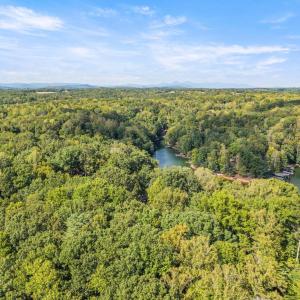 Photo #66 of 710 Forest Lawn Drive, Moneta, VA 0.9 acres