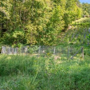 Photo #28 of 714 Trents Ferry Road, Lynchburg, VA 3.2 acres