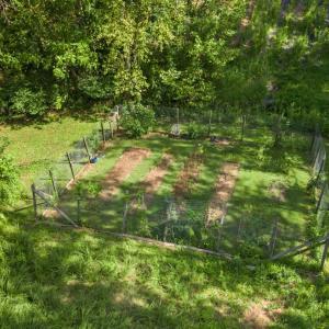 Photo #29 of 714 Trents Ferry Road, Lynchburg, VA 3.2 acres