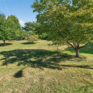 Photo #20 of 804 Randolph Street, Bedford, VA