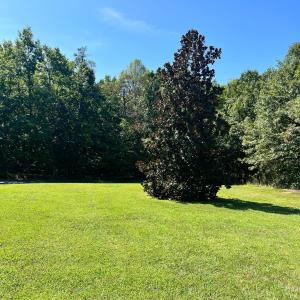 Photo #7 of 282 Bryant Road, Madison Heights, VA 2.9 acres