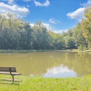 This is the town pond a half a block from the house - lovely neighborhood photo.
