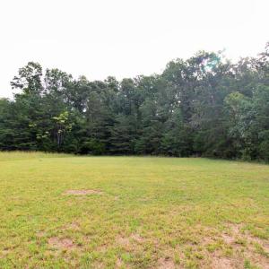 Flat back yard
