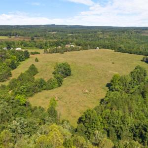 Photo #57 of 664 Telegraph Road, Gretna, VA 102.3 acres