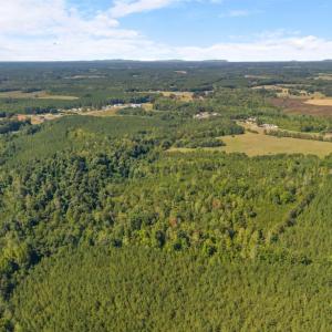 Photo #54 of 664 Telegraph Road, Gretna, VA 102.3 acres