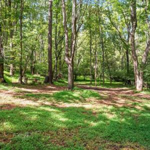 Photo #35 of 6707 Coffee Road, Forest, VA 1.6 acres