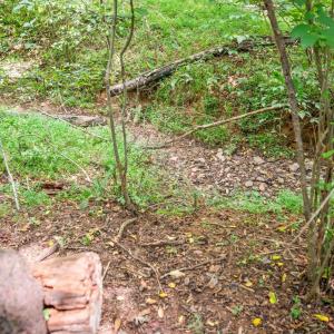 Photo #36 of 6707 Coffee Road, Forest, VA 1.6 acres