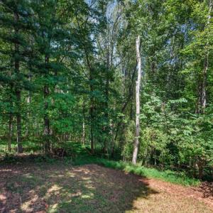 Photo #42 of 1362 Boonsboro Place, Lynchburg, VA 0.6 acres