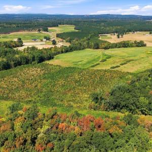 Photo #46 of 1436 Farmers Road, Gretna, VA 105.5 acres