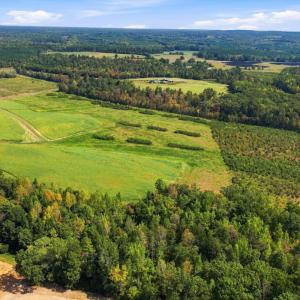 Photo #45 of 1436 Farmers Road, Gretna, VA 105.5 acres