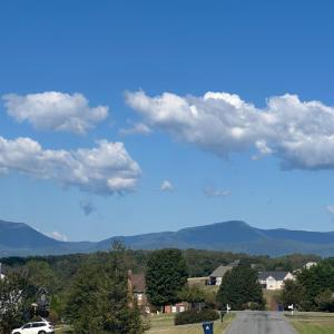 Photo #36 of 231 Longhill Road, Goode, VA 1.8 acres
