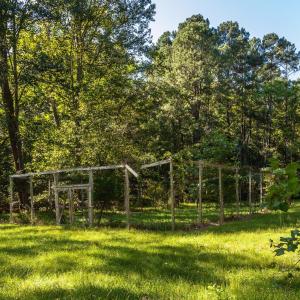 Photo #96 of 2288 Lexington Turnpike, Amherst, VA 22.9 acres