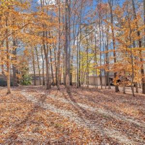 Photo #65 of 5050 Falkland Road, Scottsburg, VA 159.2 acres