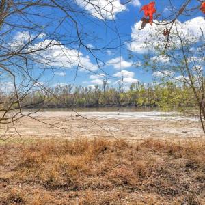 Photo #7 of 5050 Falkland Road, Scottsburg, VA 159.2 acres