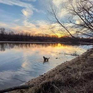 Photo #94 of 5050 Falkland Road, Scottsburg, VA 159.2 acres