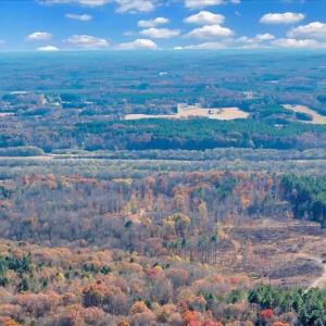 Photo #81 of 5050 Falkland Road, Scottsburg, VA 159.2 acres