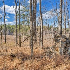 Photo #68 of 5050 Falkland Road, Scottsburg, VA 159.2 acres