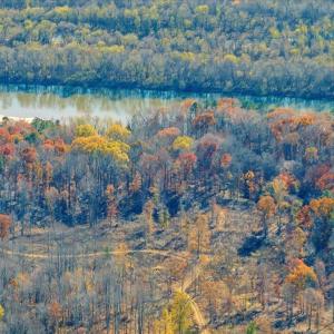 Photo #2 of 5050 Falkland Road, Scottsburg, VA 159.2 acres