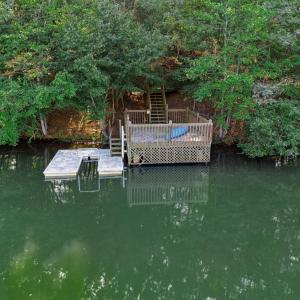 Photo #78 of 805 Ivy Lake Drive, Forest, VA 1.8 acres