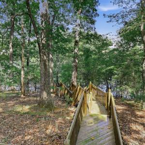 Photo #75 of 805 Ivy Lake Drive, Forest, VA 1.8 acres
