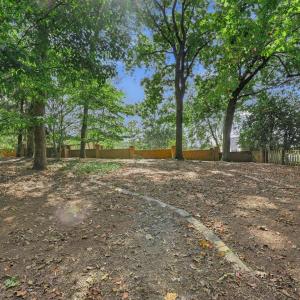 Photo #84 of 805 Ivy Lake Drive, Forest, VA 1.8 acres
