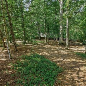 Photo #79 of 805 Ivy Lake Drive, Forest, VA 1.8 acres