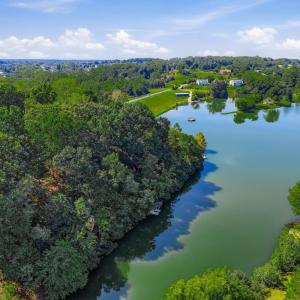 Photo #91 of 805 Ivy Lake Drive, Forest, VA 1.8 acres