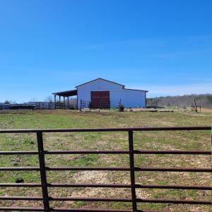 Photo #19 of 1975 Bellview, Appomattox, VA 169.6 acres