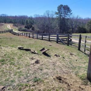 Photo #26 of 1975 Bellview, Appomattox, VA 169.6 acres
