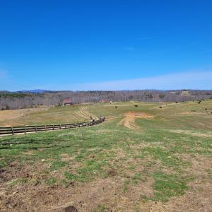 Photo #27 of 1975 Bellview, Appomattox, VA 169.6 acres