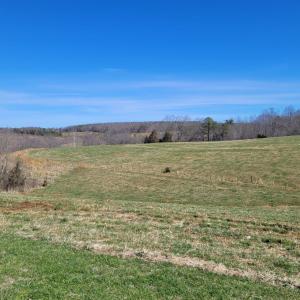 Photo #14 of 1975 Bellview, Appomattox, VA 169.6 acres