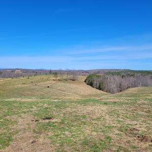 Photo #30 of 1975 Bellview, Appomattox, VA 169.6 acres