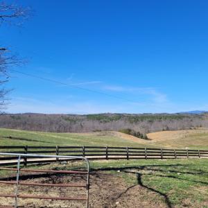 Photo #29 of 1975 Bellview, Appomattox, VA 169.6 acres