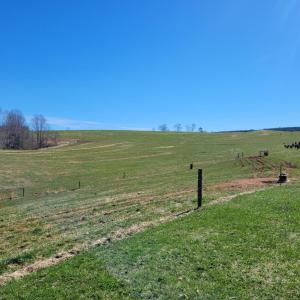 Photo #2 of 1975 Bellview, Appomattox, VA 169.6 acres