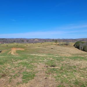 Photo #32 of 1975 Bellview, Appomattox, VA 169.6 acres
