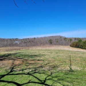 Photo #4 of 1975 Bellview, Appomattox, VA 169.6 acres