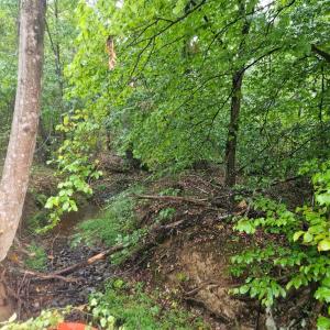 Photo #24 of 155 James Lane, Hurt, VA 4.5 acres