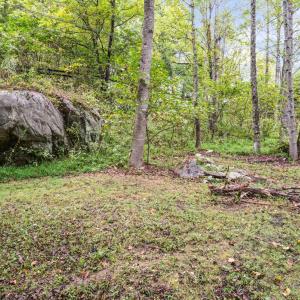 Photo #33 of 1488 Short Cut Road, Coleman Falls, VA 2.3 acres