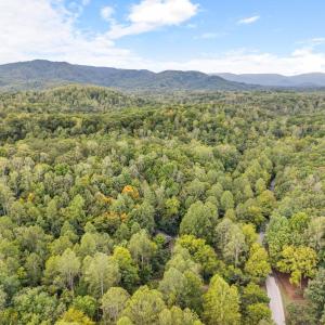 Photo #38 of 1488 Short Cut Road, Coleman Falls, VA 2.3 acres