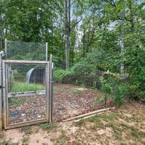 Photo #37 of 244 Riverview Rd, Madison Heights, VA 7.8 acres