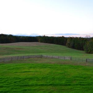 Photo #7 of 1433 Piney Mountain Road, Appomattox, VA 21.8 acres