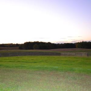 Photo #6 of 1433 Piney Mountain Road, Appomattox, VA 21.8 acres