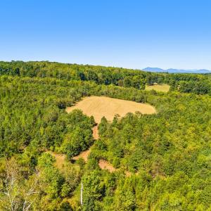 Photo #33 of 1868 Glenwood Dr, Bedford, VA 137.8 acres